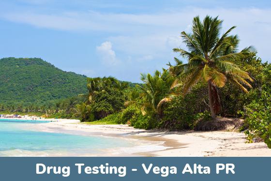 Vega Alta PR Drug Testing Locations
