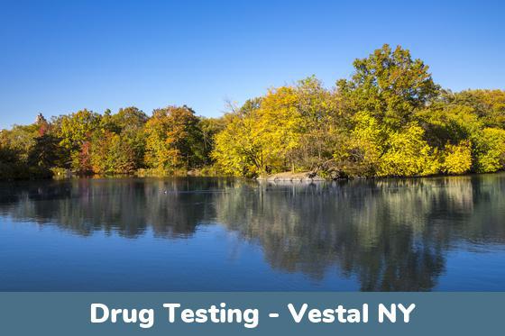 Vestal NY Drug Testing Locations