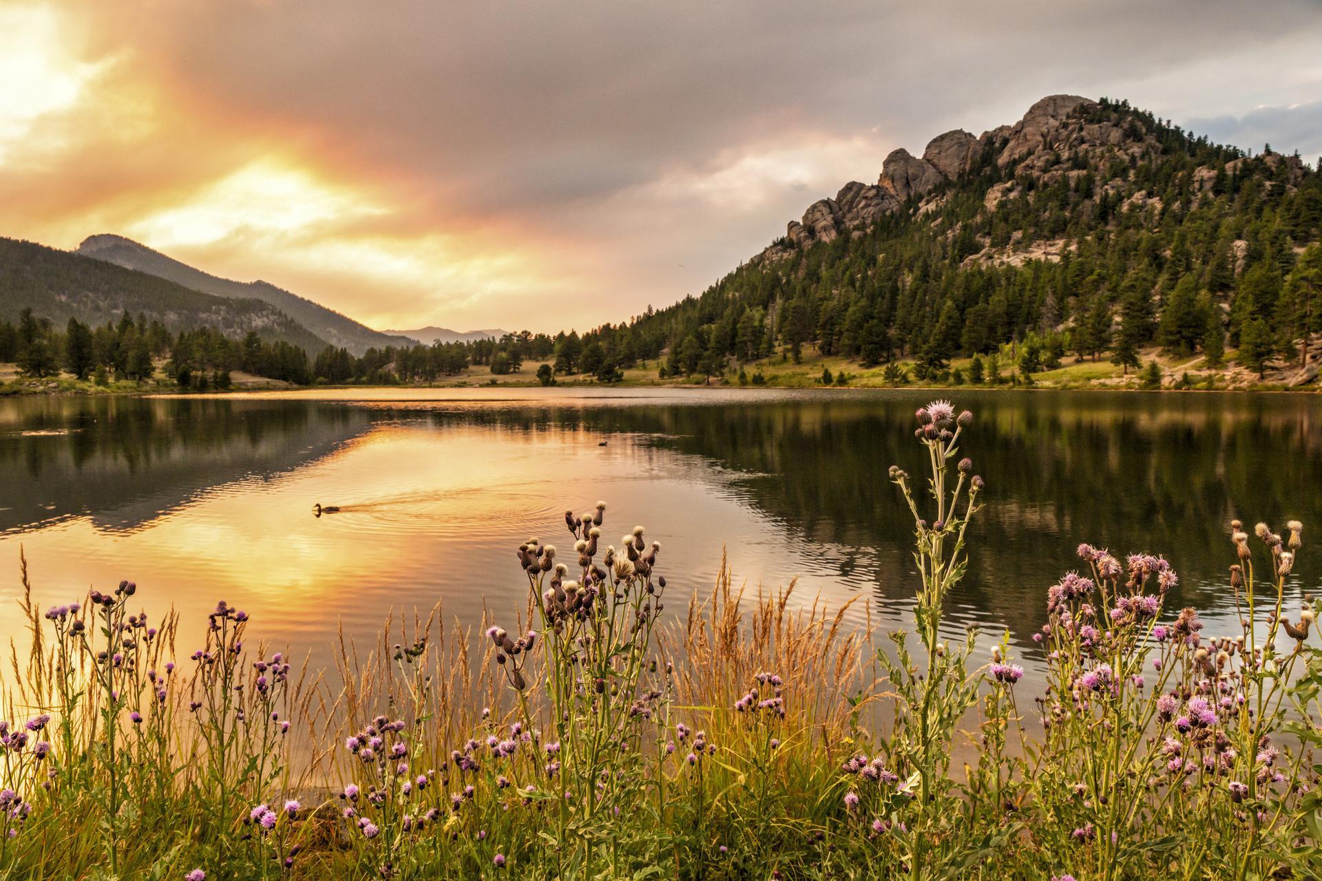 Colorado Titer Testing Colorado Titer Testing -