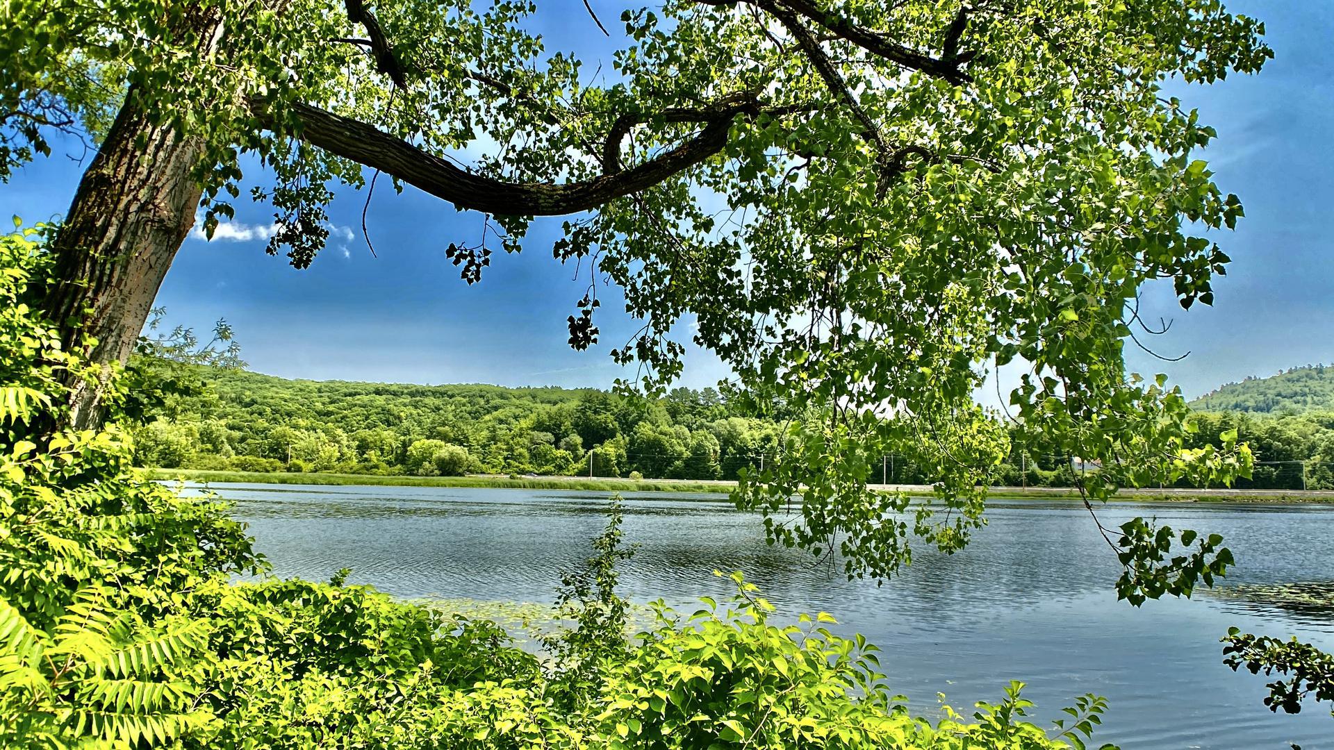 Connecticut Titer Testing Connecticut Titer Testing -