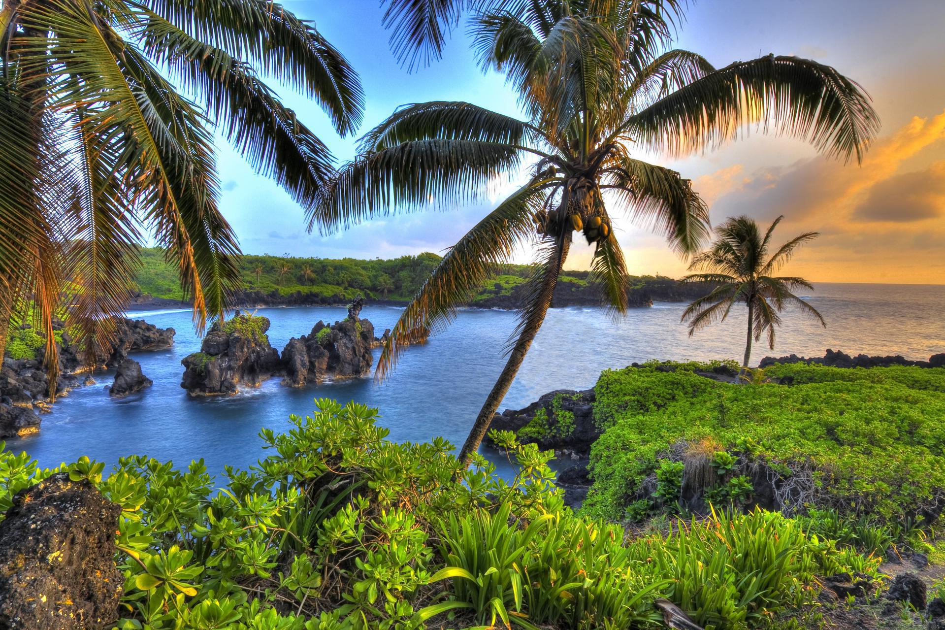 Hawaii Titer Testing - 