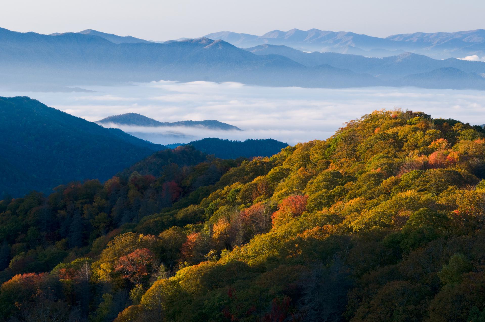 Tennessee Titer Testing Tennessee Titer Testing -