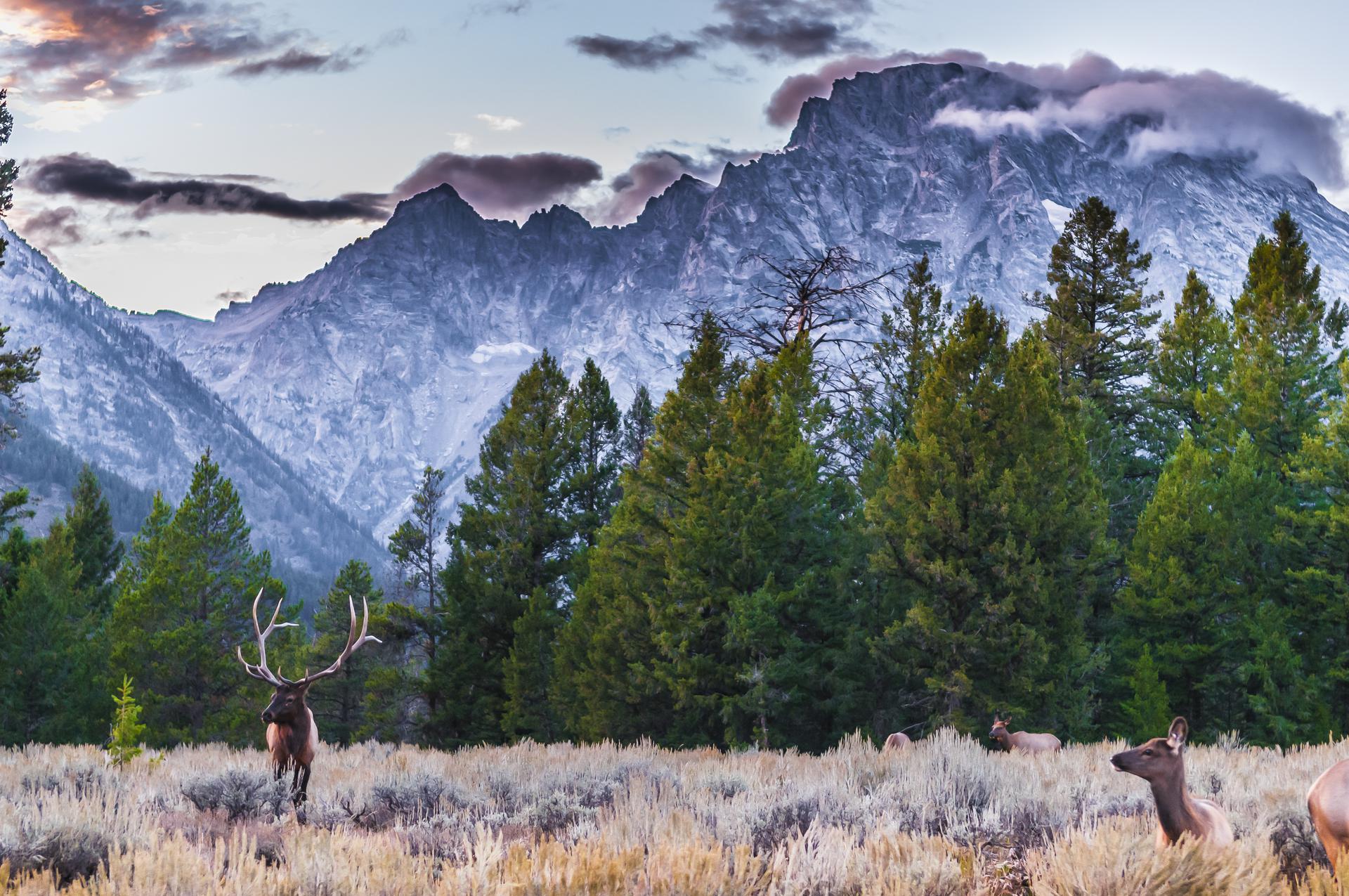 Wyoming Titer Testing Wyoming Titer Testing -