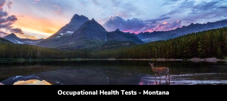 Montana Occupational Health Testing: Clinic Locations by City in MT